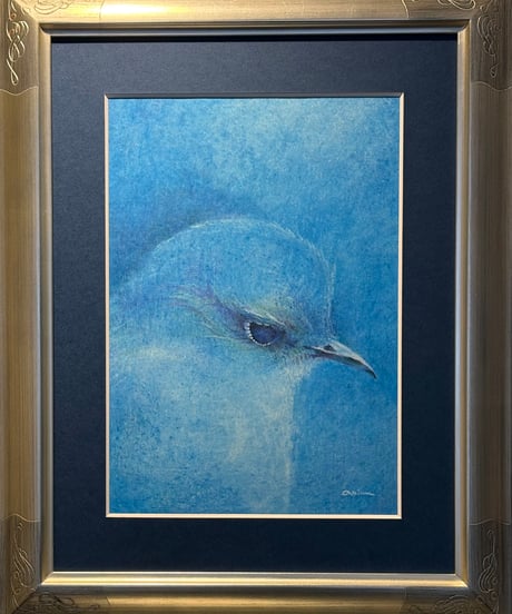 色鉛筆画　「そして」　加藤あみな　A4