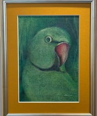 色鉛筆画　「笑う」　加藤あみな