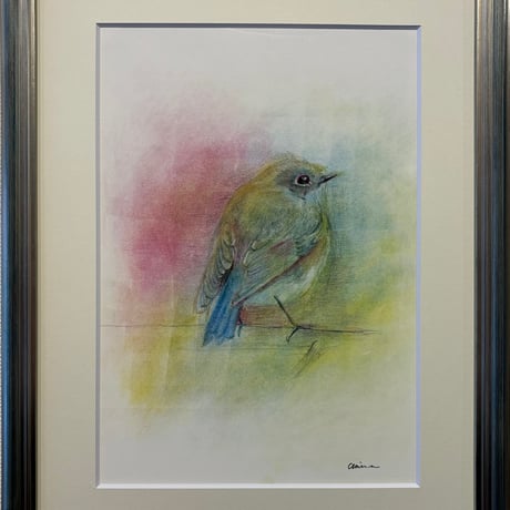 鳥の絵 | STORES