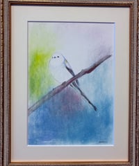 色鉛筆画　加藤あみな　A4 明日