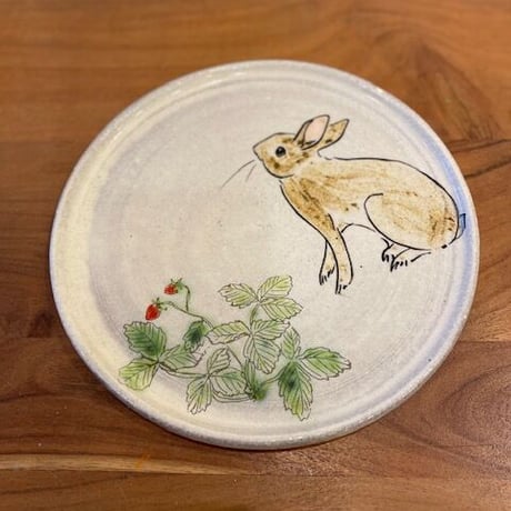 うさぎ 変わり皿 WONDER USACHAN カレー皿 ワンダーうさちゃん 皿 器 食器 陶器
