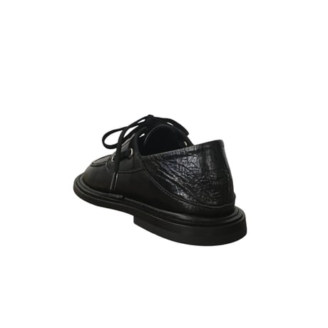 【ph7+】P2S0344 BK