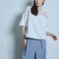 【ph7+】P4SCS20　WH