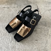 【ph7+】P2S0296 BK/GO