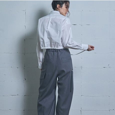 【ph7+】P4FSH19　WH