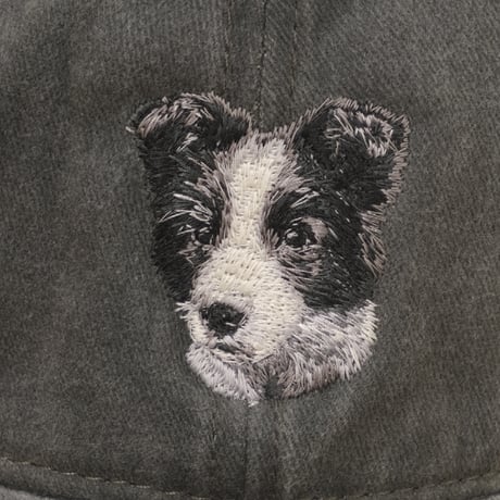 Dad Cap｜ボーダー・コリー