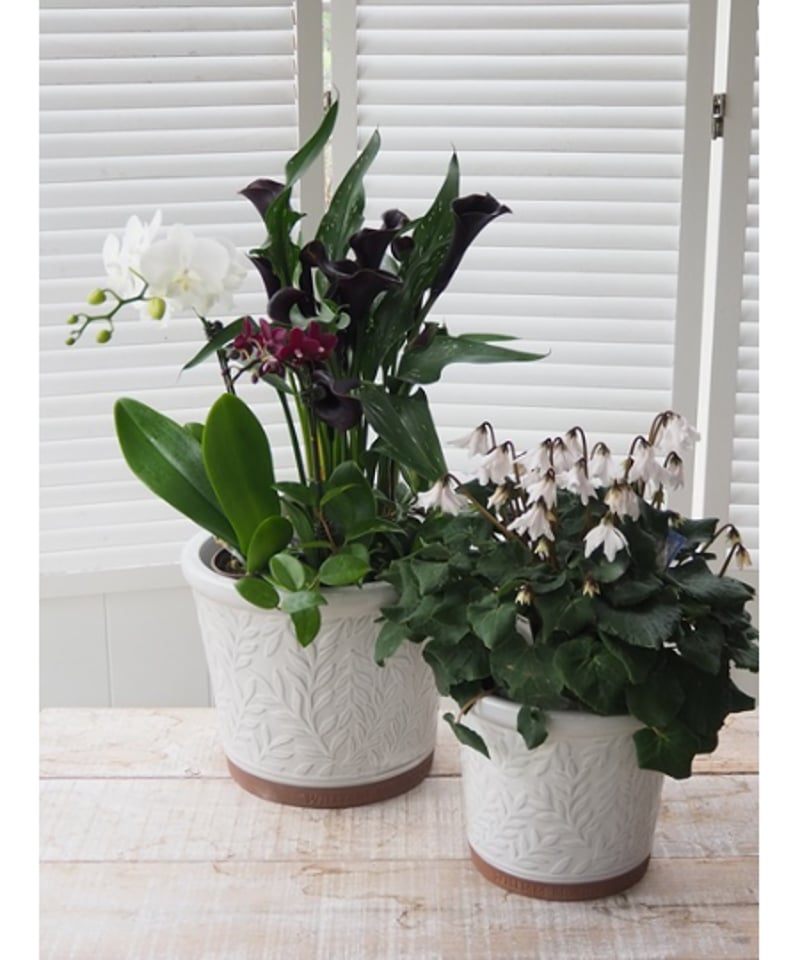 William Morris パルナスポット white size20 | gardens William Morris パルナスポット white size20 | gardens