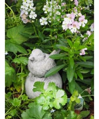 ドイツ Vidroflorストーンオーナメント 'ガーゴイル' | gardenshop NO