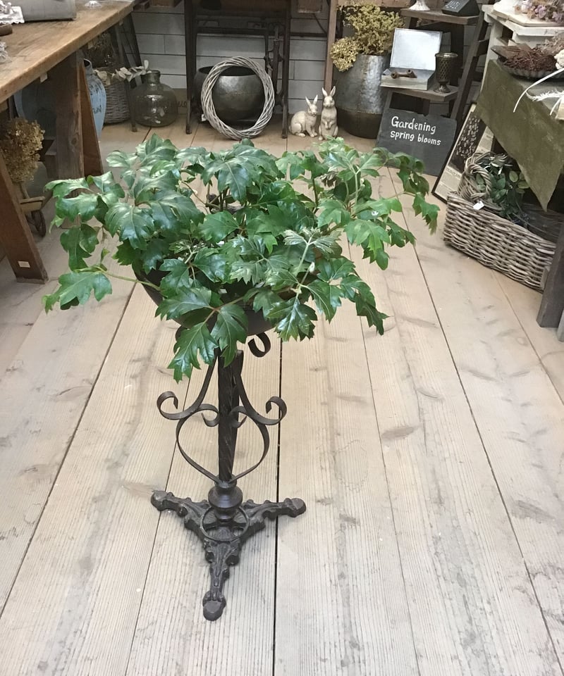 ラスティ・バードバスポット | gardenshop NONOHANA
