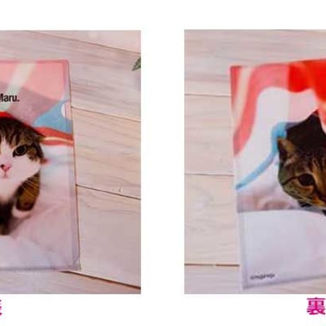 『まる』A4クリアファイル限定セット／世界一有名な日本のネコまる