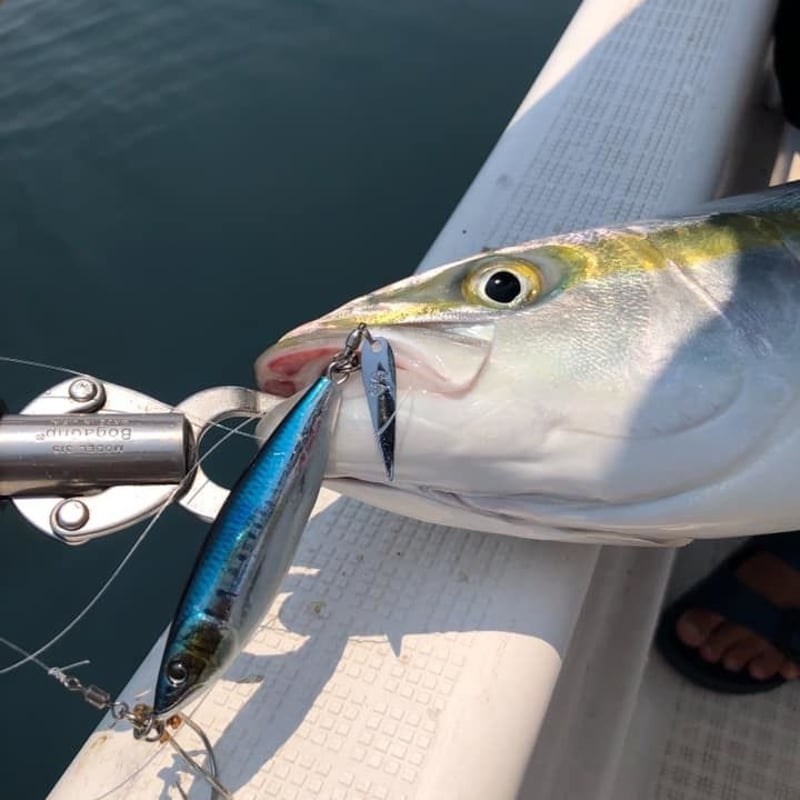 ブレードジギング　ルアー各種とフック付き ジグブレード | ガイドサービス セブン OFFICIAL SHOP