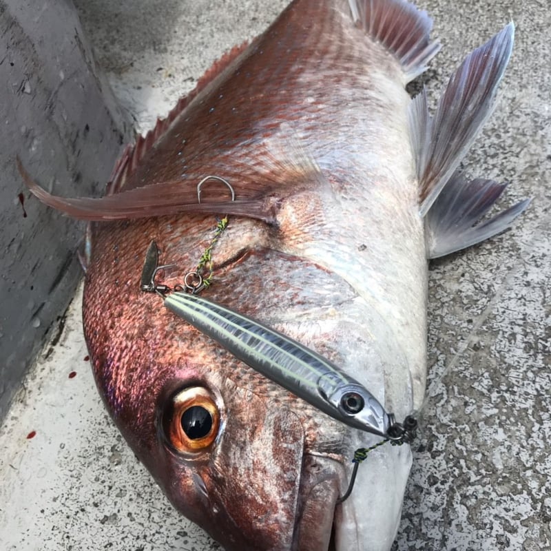 鉄道プレート かいじ 鉄道プレート かいじ