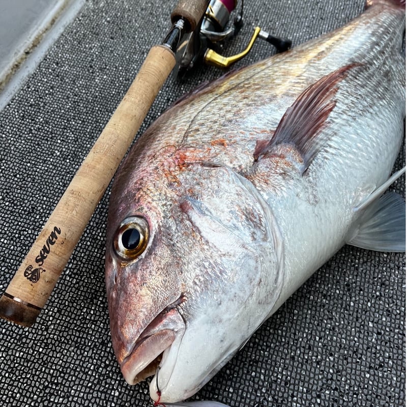 tc！リップルフィッシャー　Ocean Arrow 67UL スナッパー tc様専用！リップルフィッシャー Ocean Arrow 67UL スナッパー 【公式