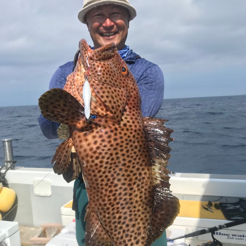 烏賊ヤロー120g | ガイドサービス セブン OFFICIAL SHOP