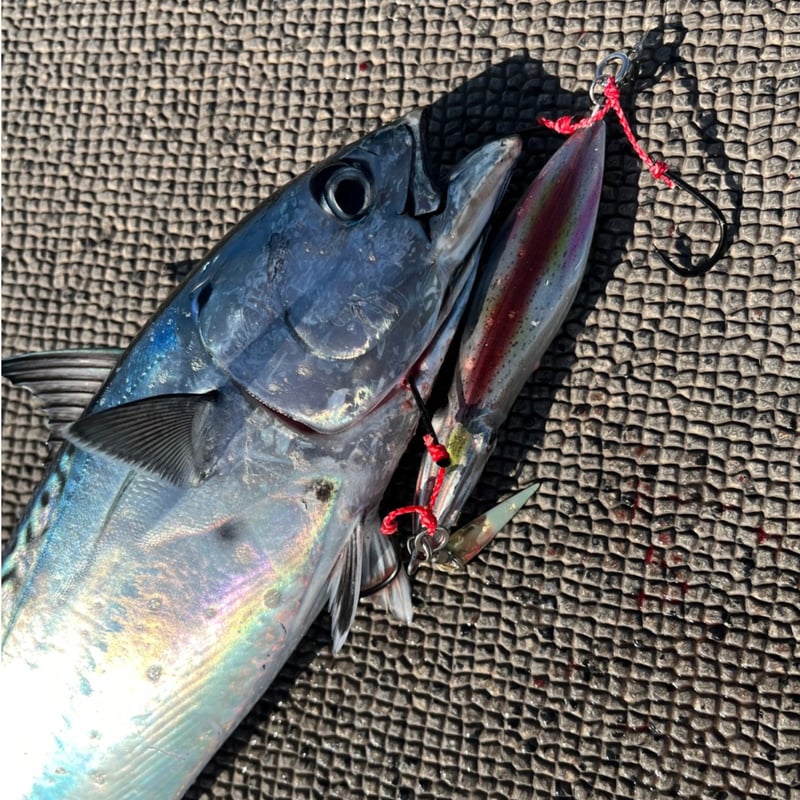 貝田ルアー　エルロロ　135 貝田ルアー エルロロ 135｜Yahoo!フリマ（旧PayPayフリマ）