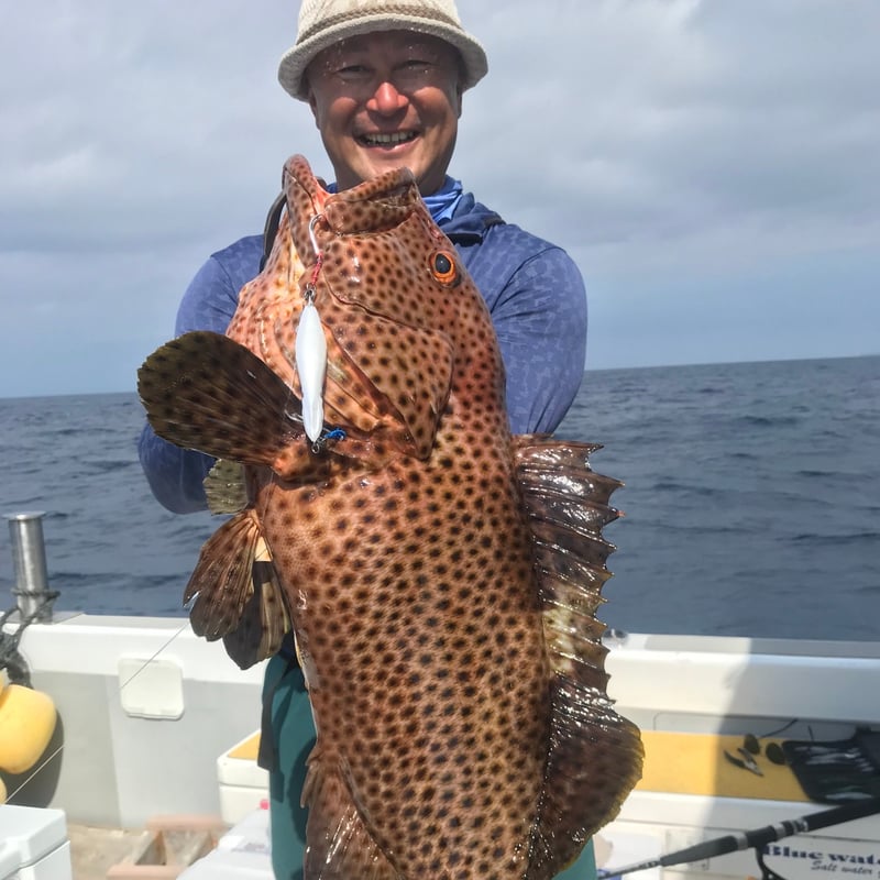 烏賊ヤロー100g | ガイドサービス セブン OFFICIAL SHOP