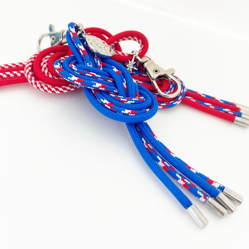 ゴリパラ　キーホルダー　完全コンプ ゴリパラ キーホルダー 完全コンプ