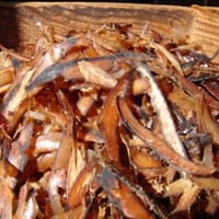 さば厚削り　　１ｋｇ