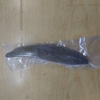 本枯節（背節）枕崎産