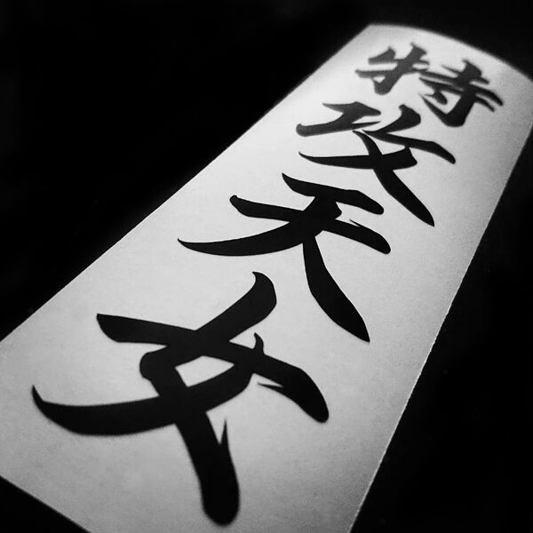 極美品!外袋・ステッカー!相対性理論　天声ジングル　インサート付き! アイアンカバーフードタイプDN-IC03 | DULLYNA CAT ネットショップ