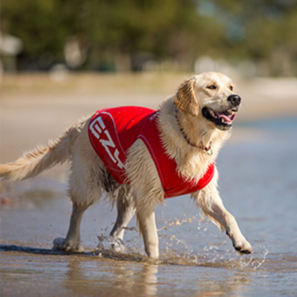 EZYDOG 犬用ラッシュガード ドッグラッシュガード Sサイズ（全1色
