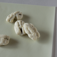 NUTS ‘KOMOREBI’ | WASANBON