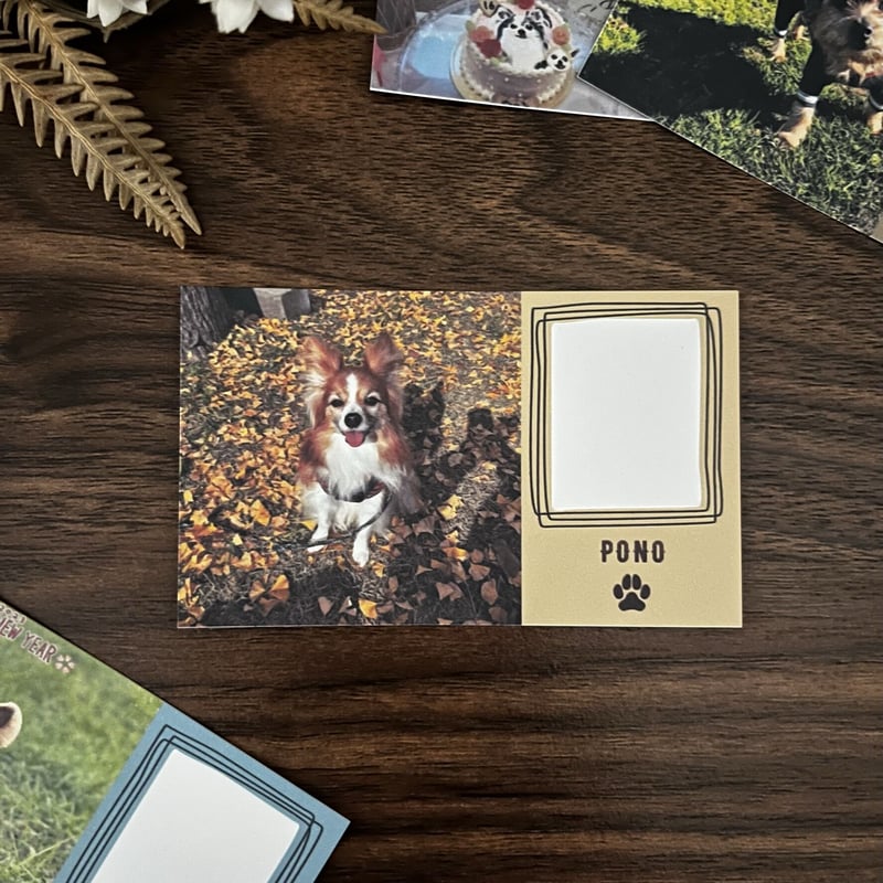 Natsu様✶⋆オーダー専用ページ メッセージカード ハンドメイド 名刺サイズ】「ダイカットミニカード / 文鳥さんの夏」メッセージ