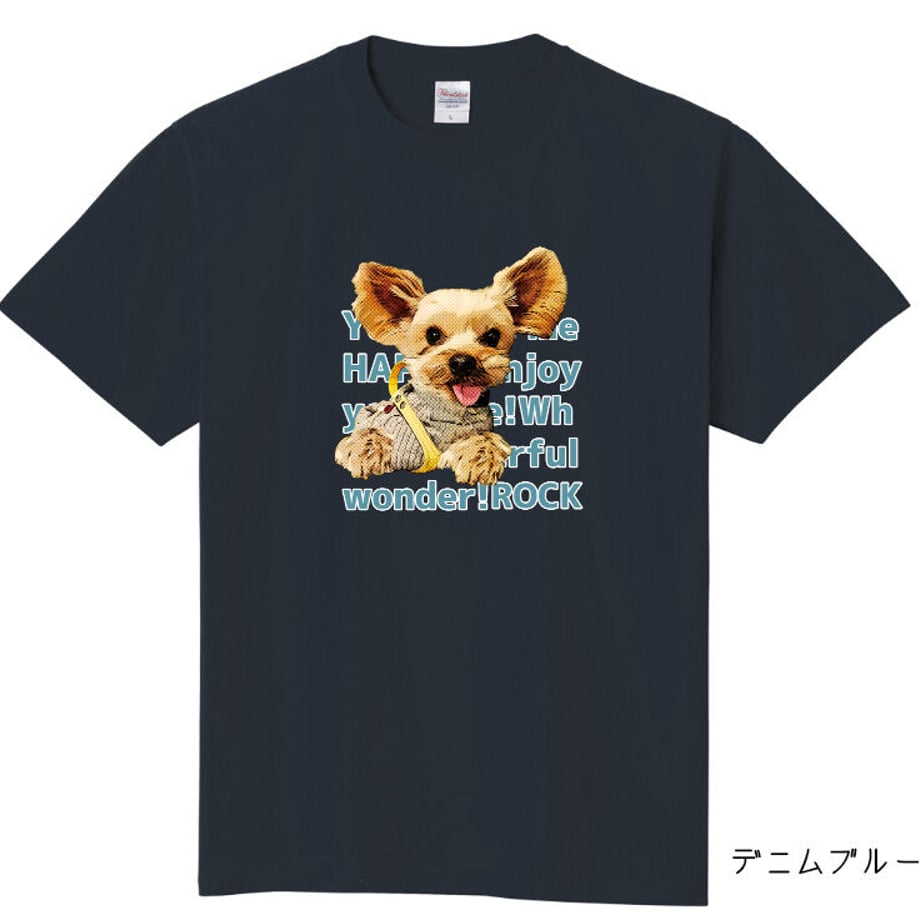 5ec81f85cee9ea6019f2476d