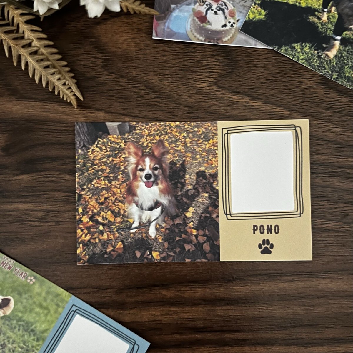 うちの子メッセージカード】インスタVer/正方形のお写真/お名前入り