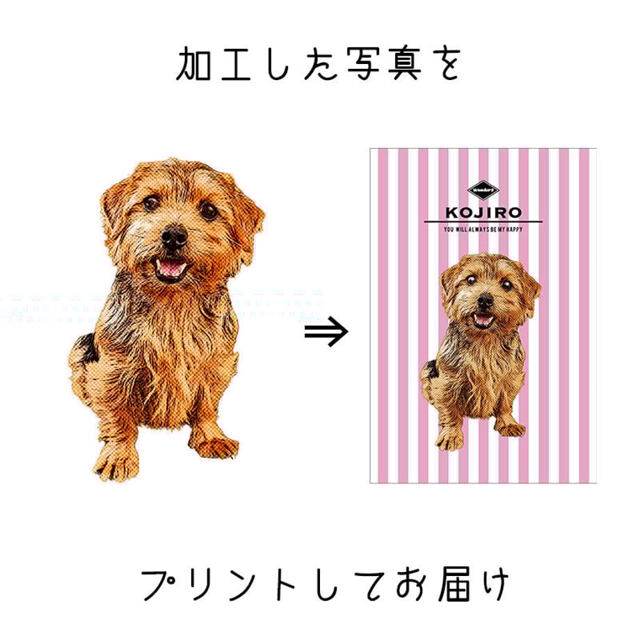 605ae2911e746b6e94a4d828