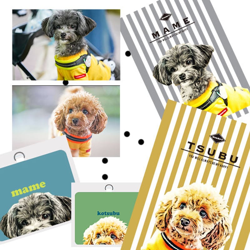 ワンコ写真アート加工オーダー（プリント5枚付） | wonder9【うちの子