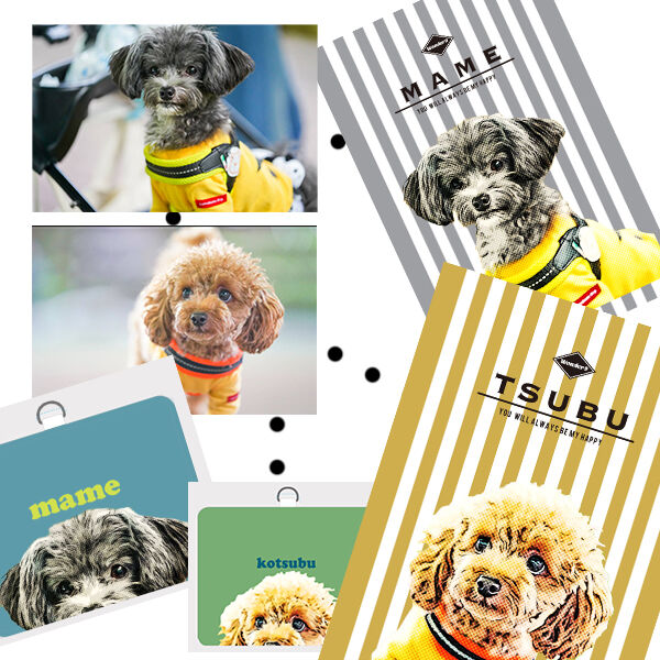 オーダー受付 foot prints わんこ ご予約ページ 8/1 オーダー受付 foot