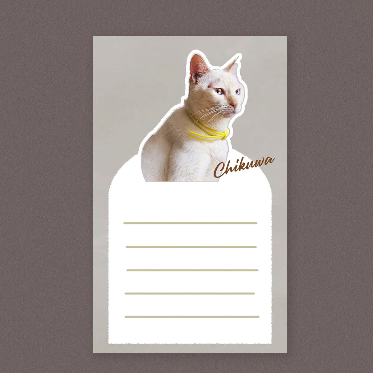 NOA様✩⋆確認専用ページ メッセージカード うちの子メッセージカード」くすみカラーバージョン／20枚セット