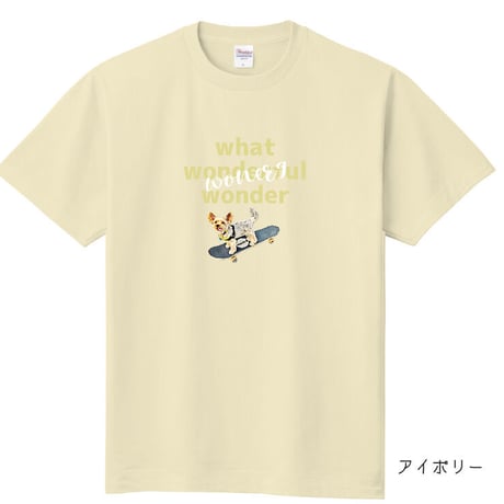 うちの子Tシャツ・ベーシック　62カラー定番の着やすさ