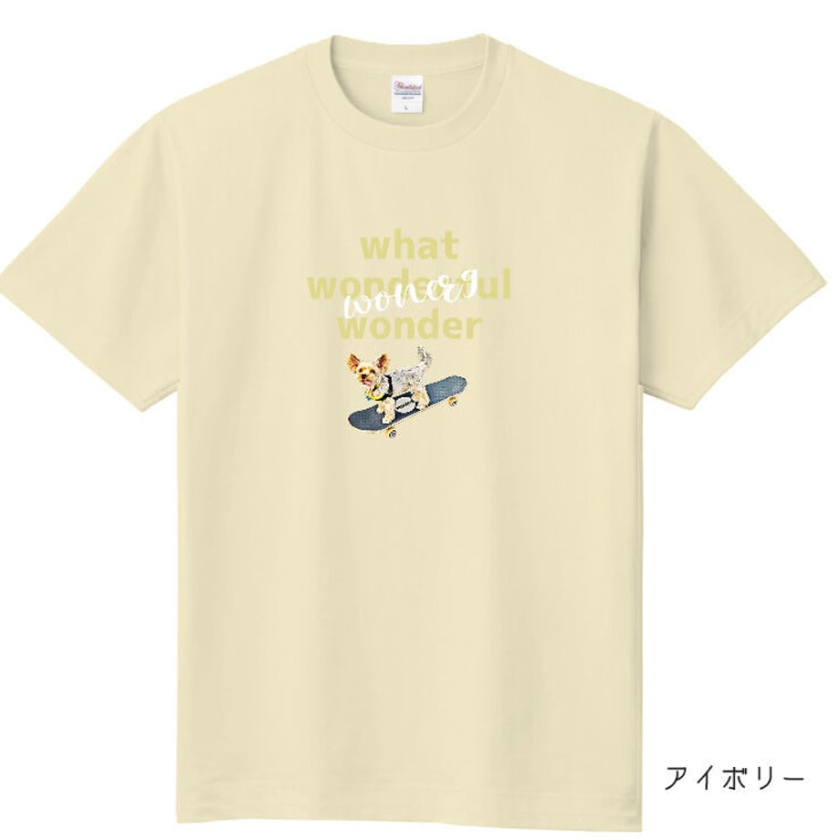 5ec81f85cee9ea6019f2476d