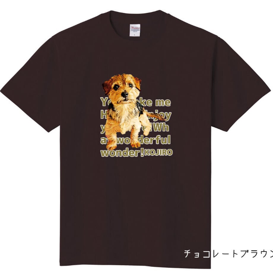 5ec81f85cee9ea6019f2476d