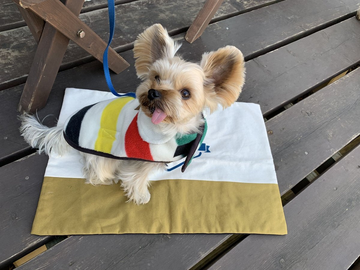 ꕤカフェマット準備中ꕤ リーフプリントキルティングカフェマット【名入れ刺繍対応