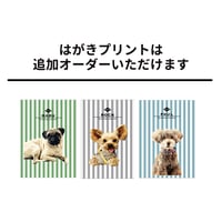 【アート加工写真のみ】ワンコ写真加工はがきプリント（10枚セット）
