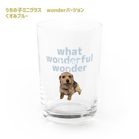 【うちの子】ミニグラス/wonderバージョン/くすみカラー/写真で作る/お名前入り