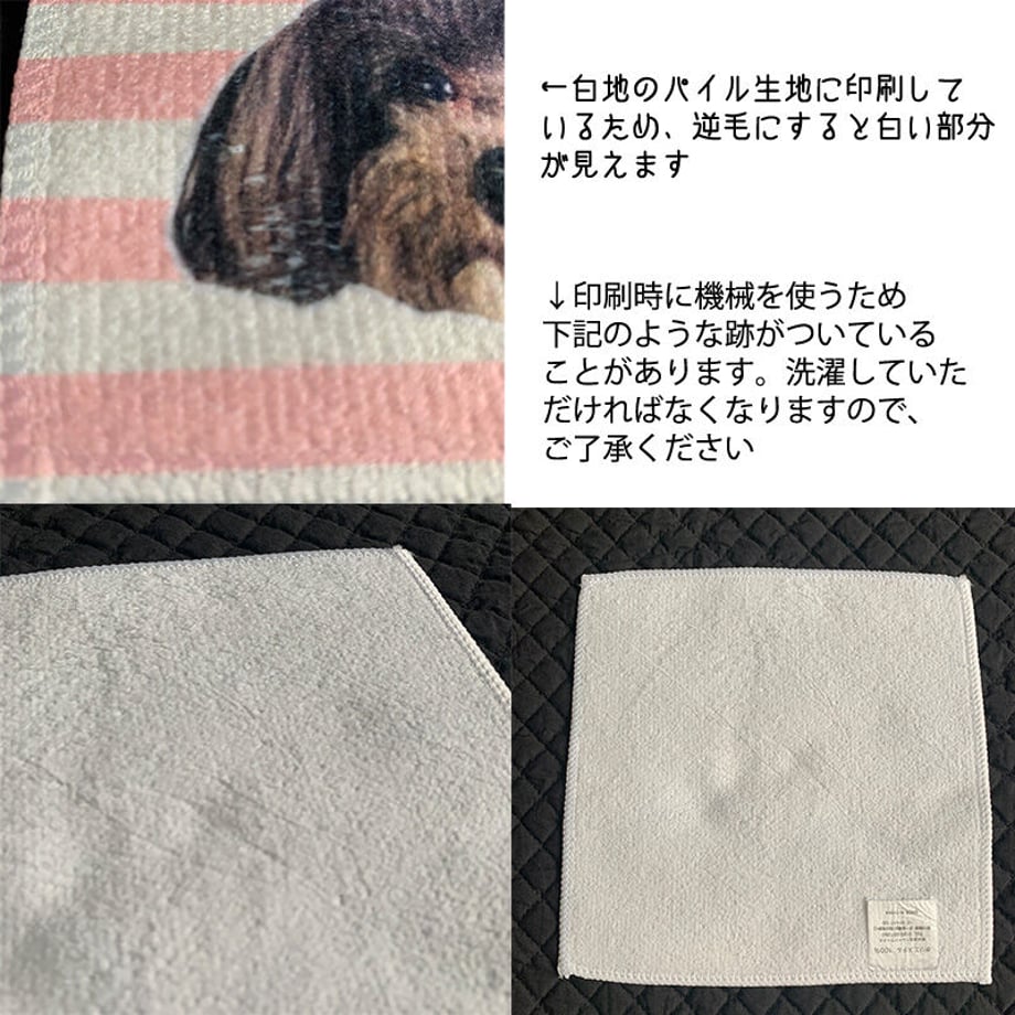 61ac1519d5ffeb497e2a9254