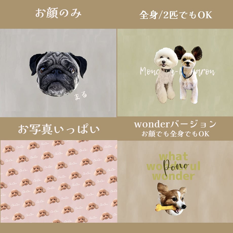 64b3684812e4fd20d802ff05