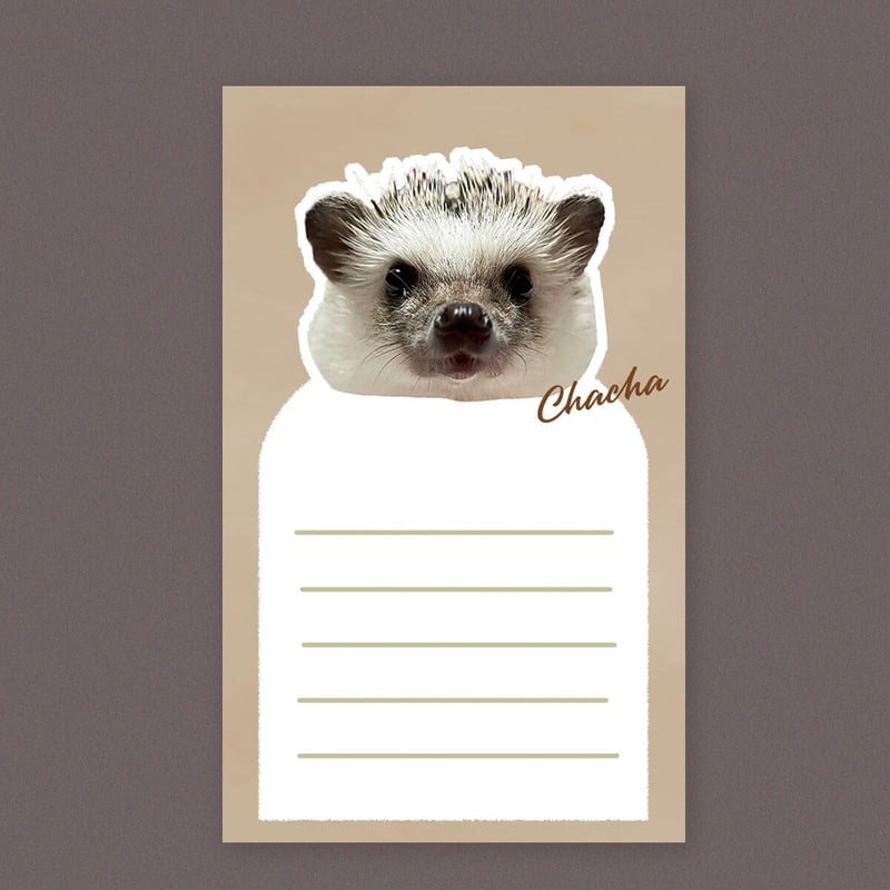 うちの子メッセージカード」くすみカラーバージョン／20枚セット