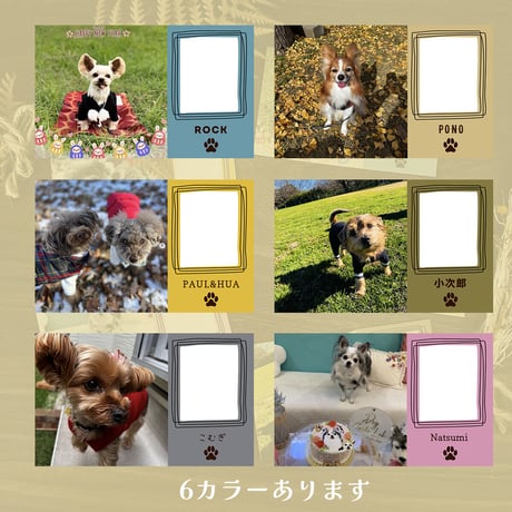 【うちの子メッセージカード】インスタVer/正方形のお写真/お名前入り