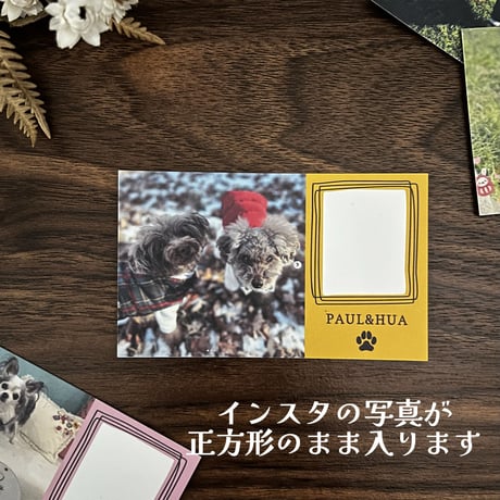 【うちの子メッセージカード】インスタVer/正方形のお写真/お名前入り