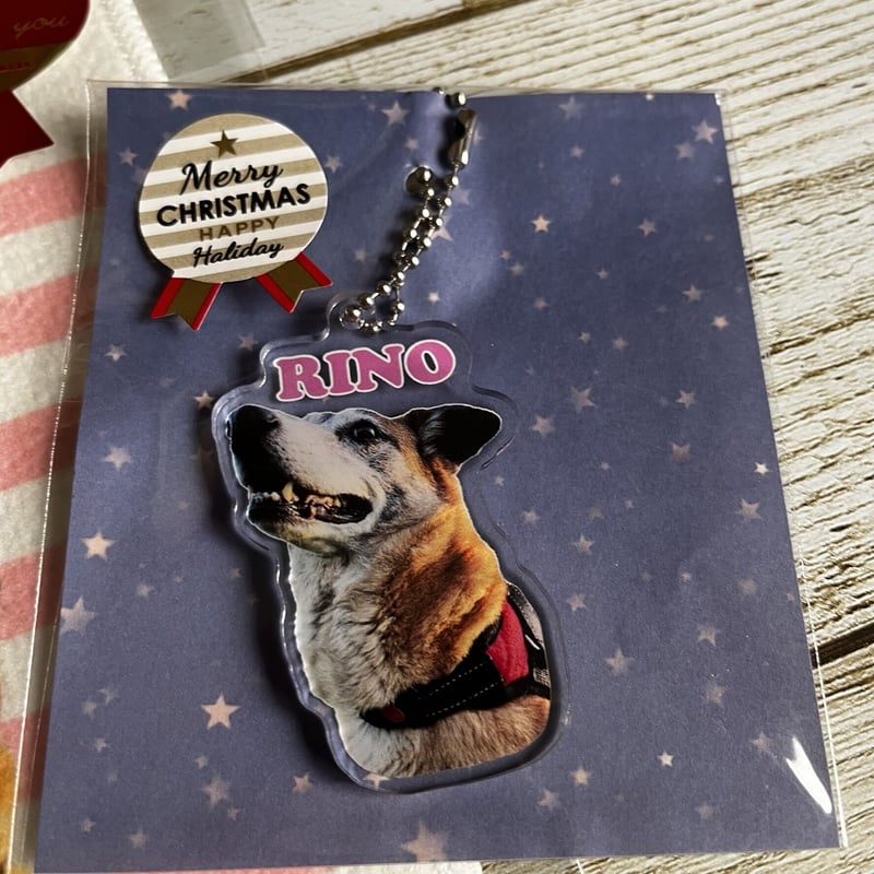 うちの子】アクリルキーホルダー | wonder9【うちの子グッズ/イラスト