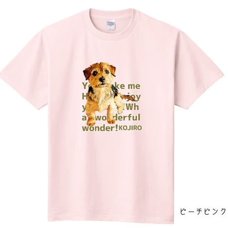 うちの子Tシャツ・ベーシック　62カラー定番の着やすさ