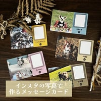 【うちの子メッセージカード】インスタVer/正方形のお写真/お名前入り