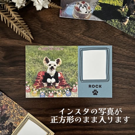 【うちの子メッセージカード】インスタVer/正方形のお写真/お名前入り