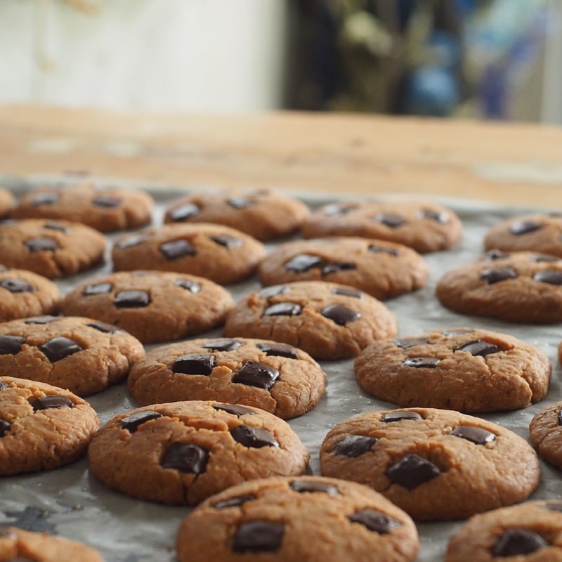 CHOCOCHIP COOKIE 20 ブラウン CHOCOCHIP COOKIE 20 ブラウン CHOCOCHIP COOKIE 20 ブラウン