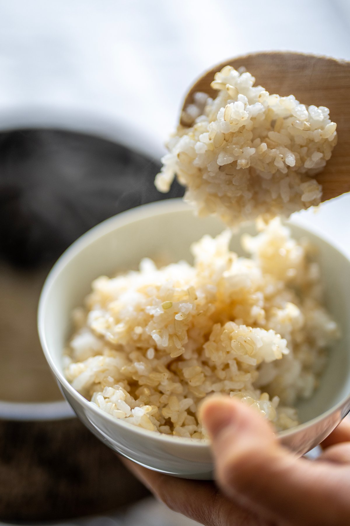 いーちゃん　玄米 かずちゃん米 無農薬 新米純こしひかり30㎏ 玄米